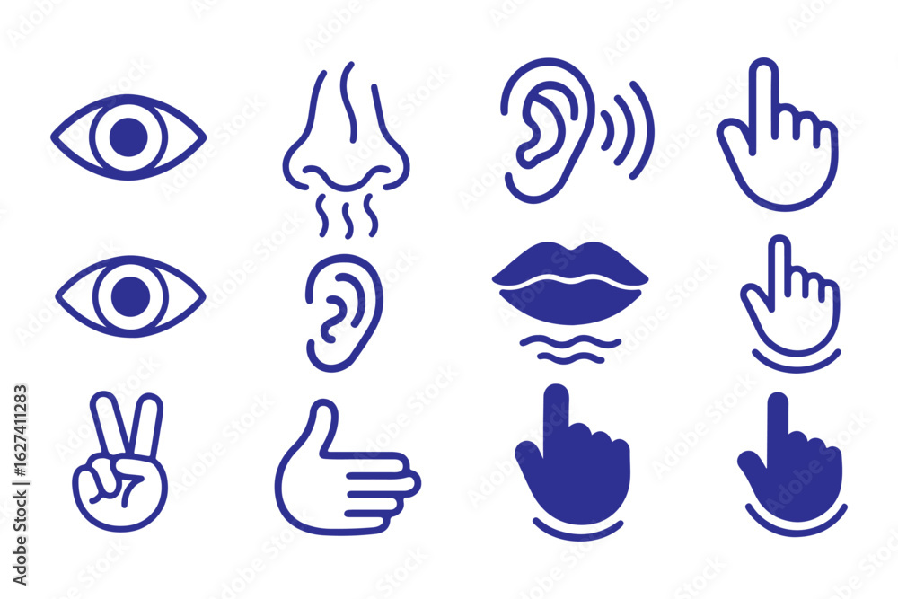 Fototapeta premium Five Senses line icons Five senses icon, representing the senses: eye (sight), nose (smell), ear (hearing), tongue (taste), and hand (touch) - ideal for web design education