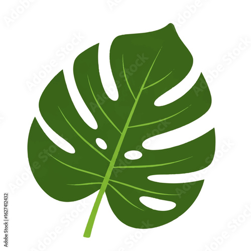 Vibrant Green Monstera Leaf Illustration.