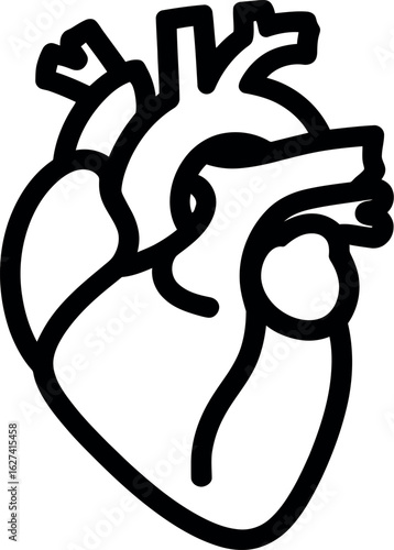 Heart anatomy illustration medical diagram circulatory system