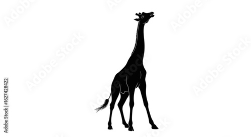 side profile silhouette of a giraffe reaching upward, isolated on a transparent background   elegant vector illustration for design projects