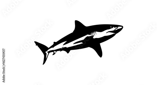 side profile of a powerful great white shark, isolated on transparent background: a bold vector illustration for design projects