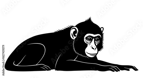 side profile of a young monkey, resting serene: a bold black and white vector illustration isolated on transparent background