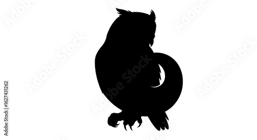 majestic owl silhouette: a profile view of a nocturnal bird isolated on transparent background, perfect for logos, designs, and illustrations