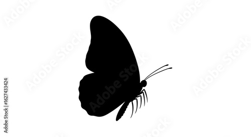 side profile of a graceful black butterfly silhouette, isolated on transparent background: perfect for design projects requiring a minimalist, elegant insect graphic