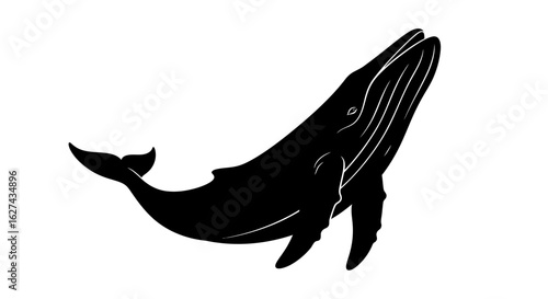 majestic humpback whale silhouette: side view of a breaching whale, isolated on transparent background, ideal for marine life designs
