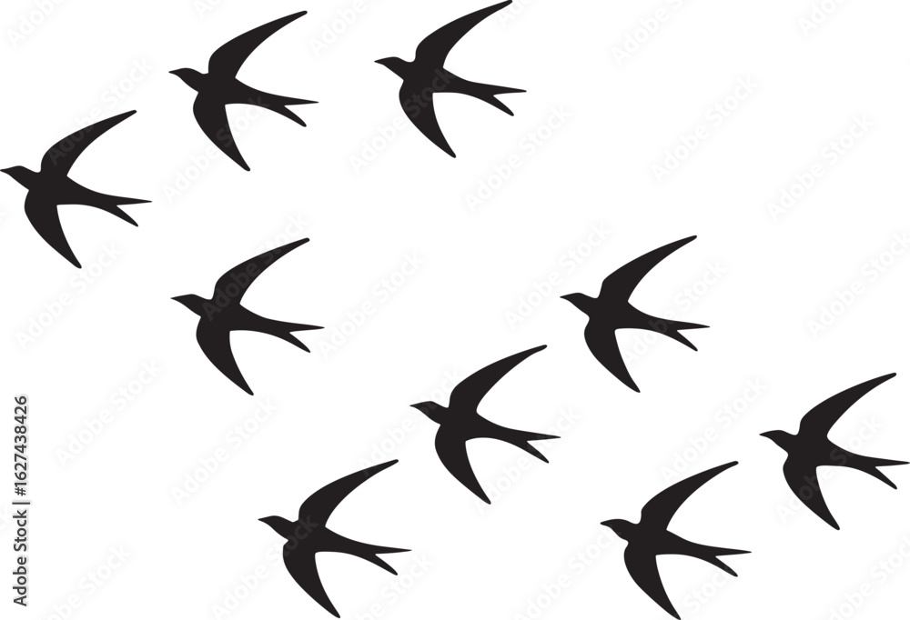 Fototapeta premium Flock of Swallows in Flight birds flying