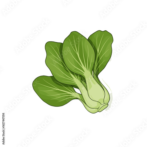 Fresh bok choy with vibrant green leaves, neatly arranged with detailed veins and light green stems, isolated on white background