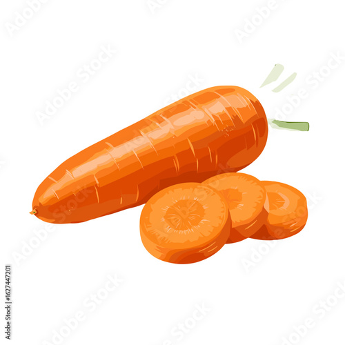 Fresh orange carrot with sliced pieces, a vibrant and healthy vegetable illustration for culinary and dietary themes, presented on a clean white background