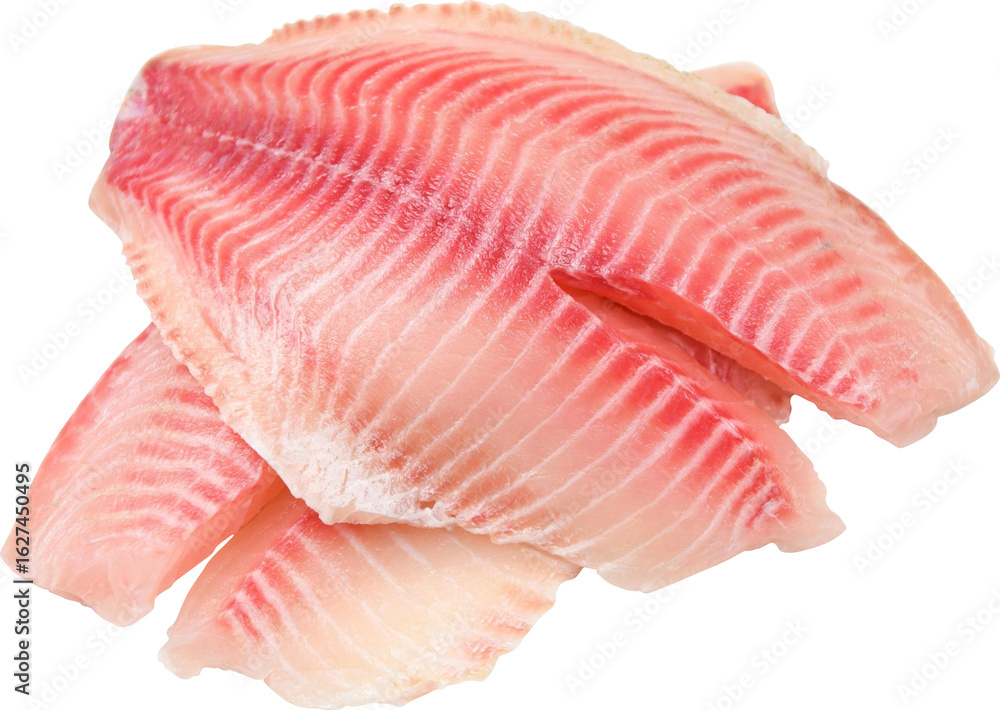 Tilapia Fish Meat Isolated On Transparent Background Tilapia Fish Meat Isolated On Transparent Background