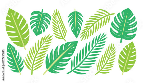 Collection of various green tropical palm leaves and monstera leaves in a flat design style