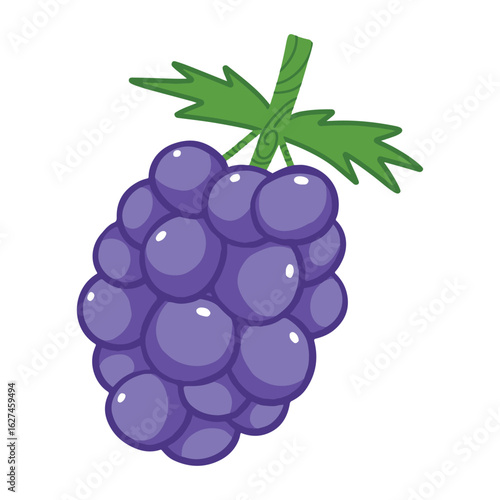 Purple Grapes Vector Illustration Bunch of purple grapes in a cute vector style, ideal for wine, fruit, or food-themed designs.
