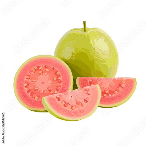 Fresh guava illustration featuring a whole fruit, a half cut, and two slices, showcasing the vibrant pink flesh and green skin of the tropical fruit