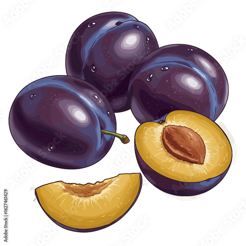 Detailed vector illustration of fresh plums with water droplets and cut halves showcasing the juicy interior and seed