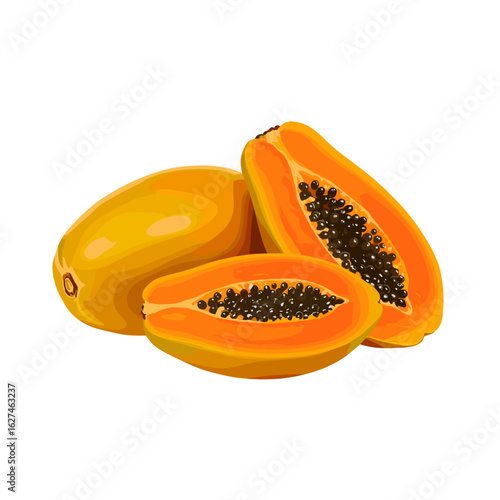 Vibrant papaya still life showcases tropical fruit in a colorful vector illustration with two halves and one whole papaya for healthy eating