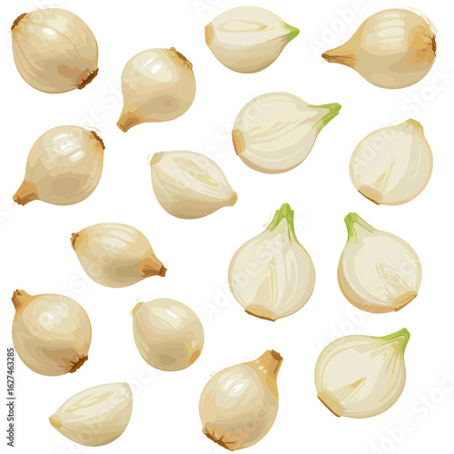 Illustrated white onions in various orientations and cut styles create a culinary vector background with fresh produce elements