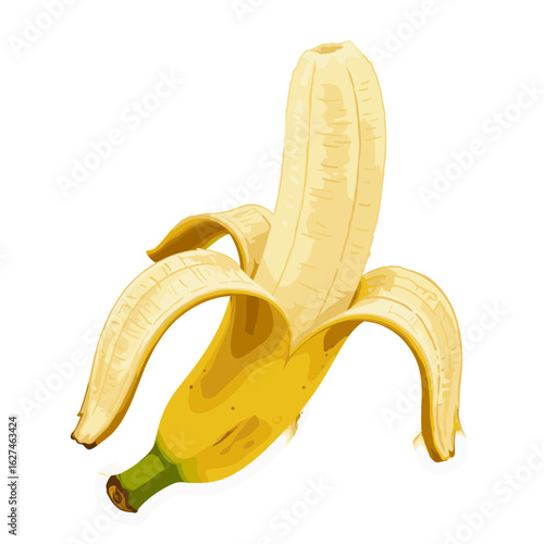 Vector illustration of a peeled banana with a yellow skin revealing the fruit and a green stem on a white background, offering a natural snack