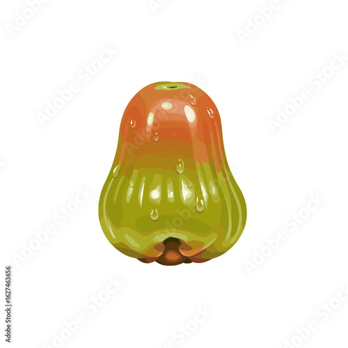 Fresh rose apple fruit with water droplets glistening on its skin, showcasing a blend of vibrant colors and healthy appearance in detailed vector illustration