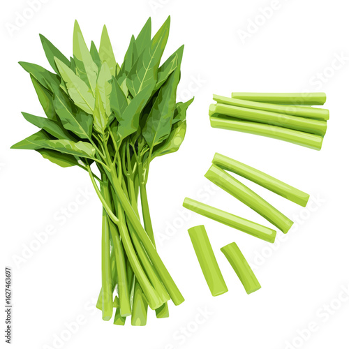 Fresh water spinach bundle with cut stems showcasing vibrant green hues and crisp textures, perfect for healthy cooking and culinary design projects
