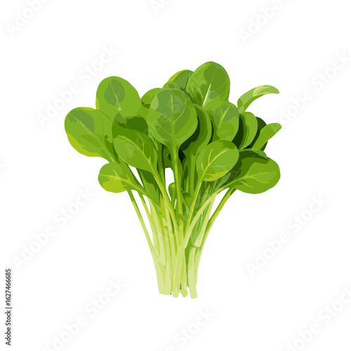 Fresh and Vibrant Bunch of Tatsoi Greens Awaiting Culinary Use in a Healthy Diet and Lifestyle, Featuring Crisp Leaves and Tender Stems