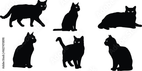 Collection of six black cat silhouettes in various poses isolated on transparent background