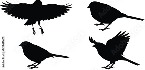 Four distinct silhouettes of small birds in various poses and flight captured as isolated objects on a transparent background isolated on transparent background