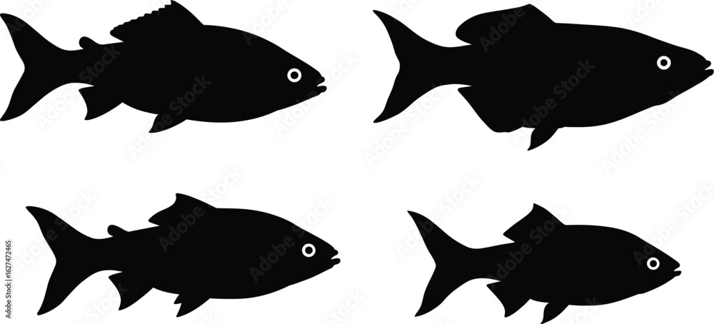 Four distinct black fish silhouettes with white eyes shown from the side isolated on transparent background Four distinct black fish silhouettes with white eyes shown from the side isolated on transparent background