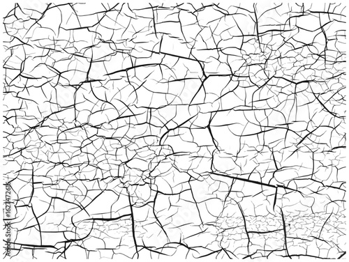 White Cracked Texture with Fine Black Fracture Lines（白地に黒い細かいひび割れ模様の背景）