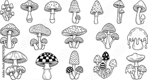 Whimsical mushroom collection with unique patterns and styles