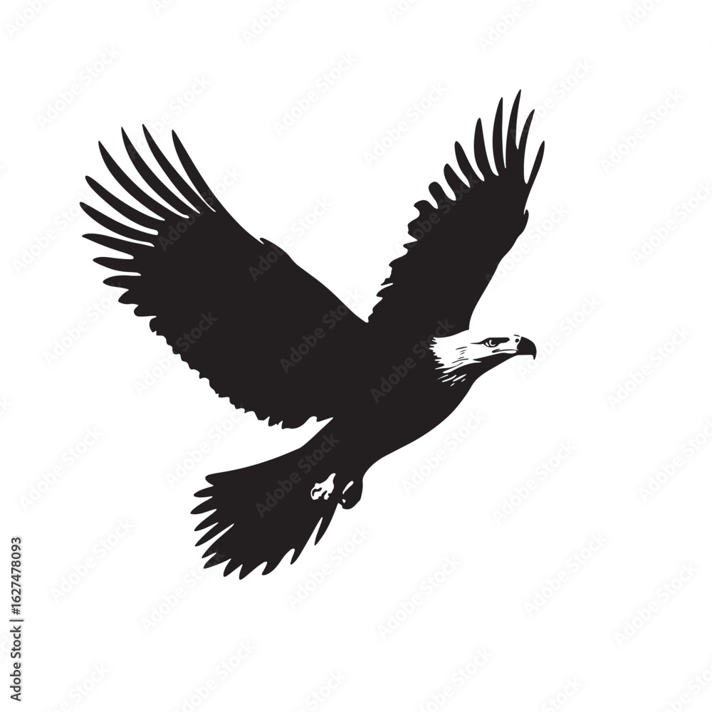 Obraz premium A bold black eagle spreads its impressive wings and prepares to land isolated