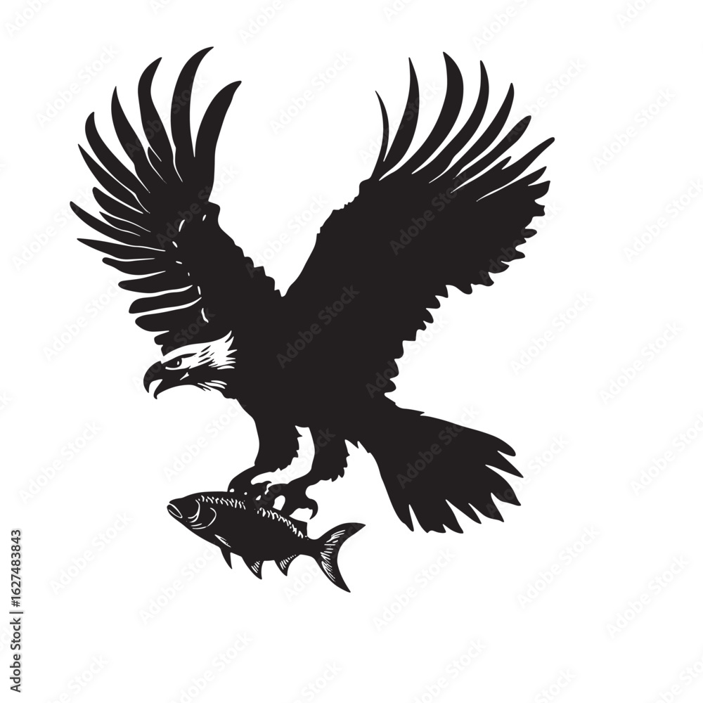 Obraz premium Majestic black eagle soars with a fish clutched in its talons against a transparent background