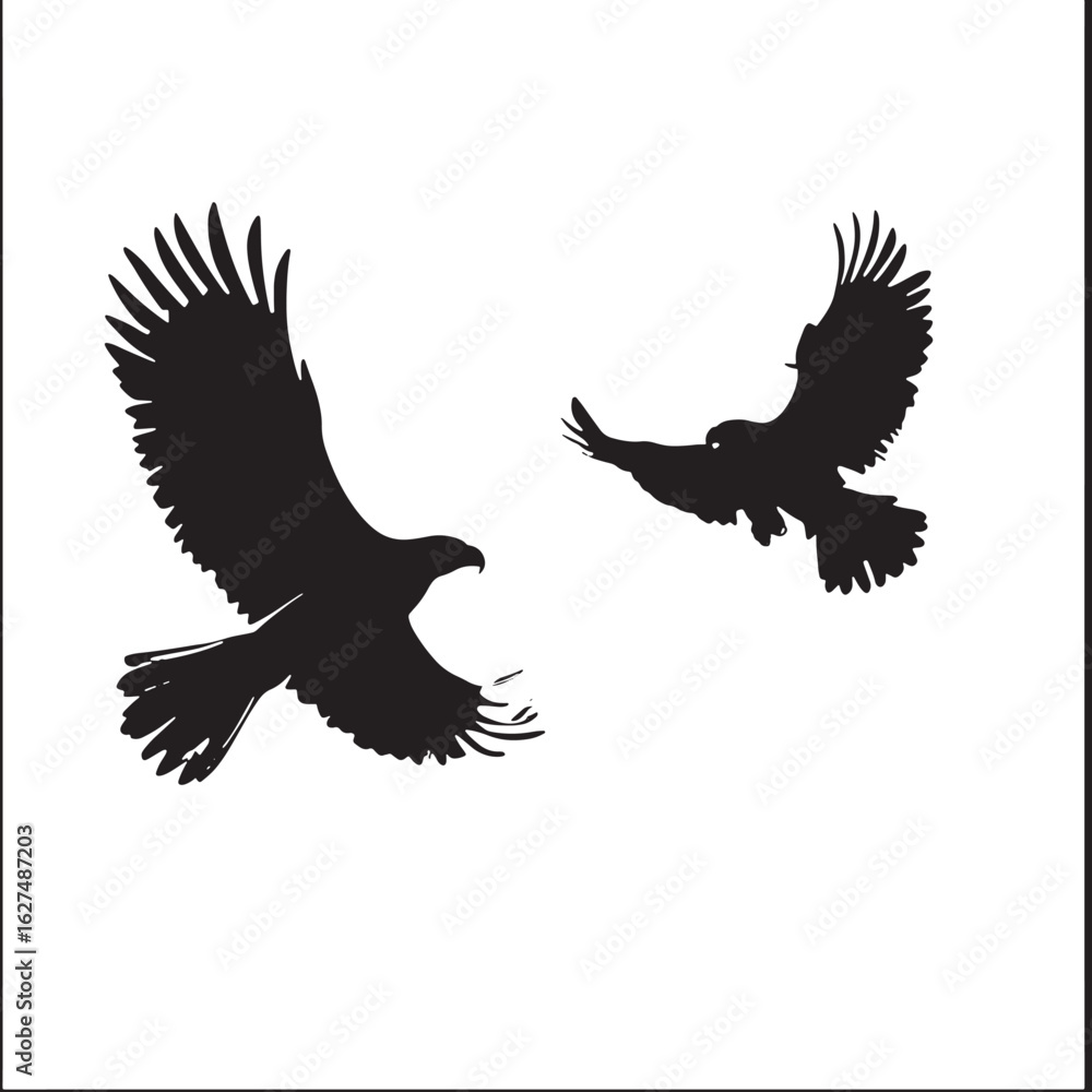 Obraz premium Eagle (42)_traced