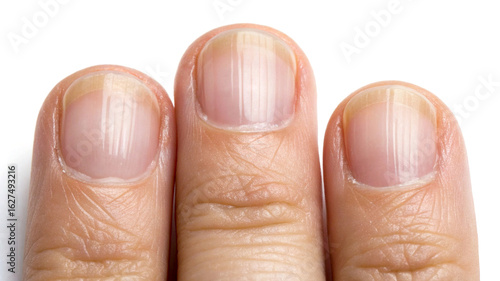 Close up of three human fingers with pale nails and visible lines