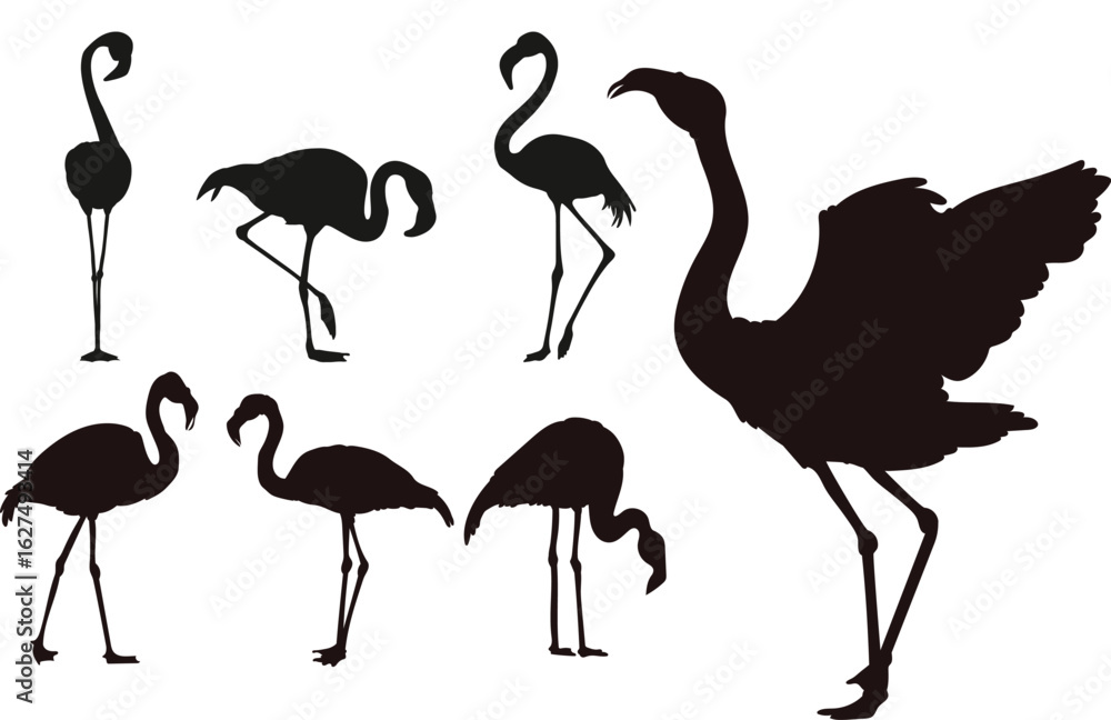 Fototapeta premium flamingo silhouettes vector