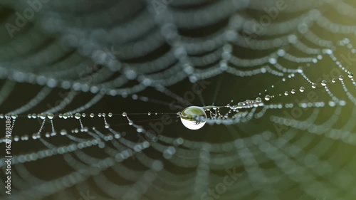 DewKissed Web. A Macro View of Natures Intricate Design and Sparkling Water Droplets.