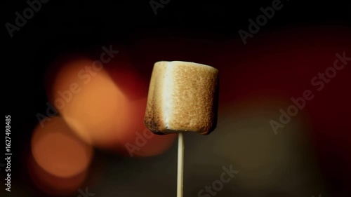 Roasted Marshmallow Delight. A CloseUp of Sweetness by the Bonfires Glow.