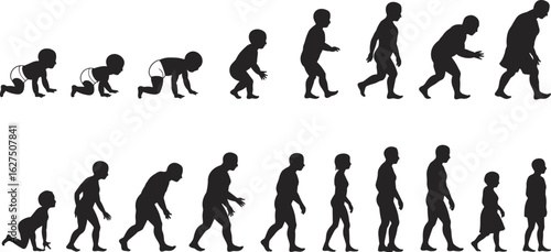 Human life stages evolution, baby to adult transition, child growth development, aging process, male and female transformation, silhouette flat vector illustratio