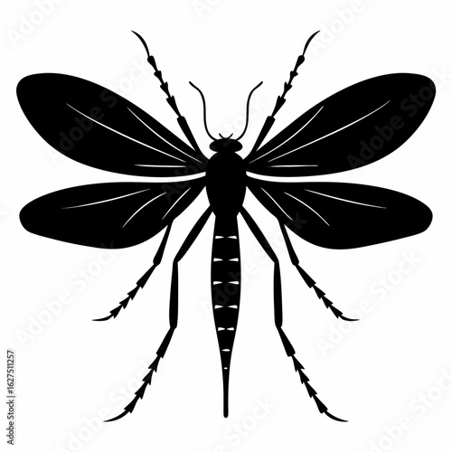Mosquito Insect Silhouette Top View