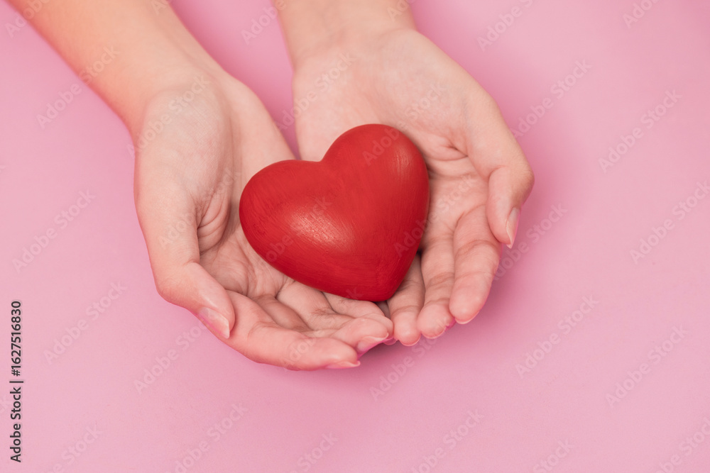 Obraz premium woman hands giving a red heart, red heart in young girl hands , health care, organ donation, family life insurance, world heart day, brain stroke. love concept.