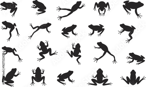 Frog silhouette icon collection, amphibian jumping frog shapes, animal wildlife vector set, flat vector illustration