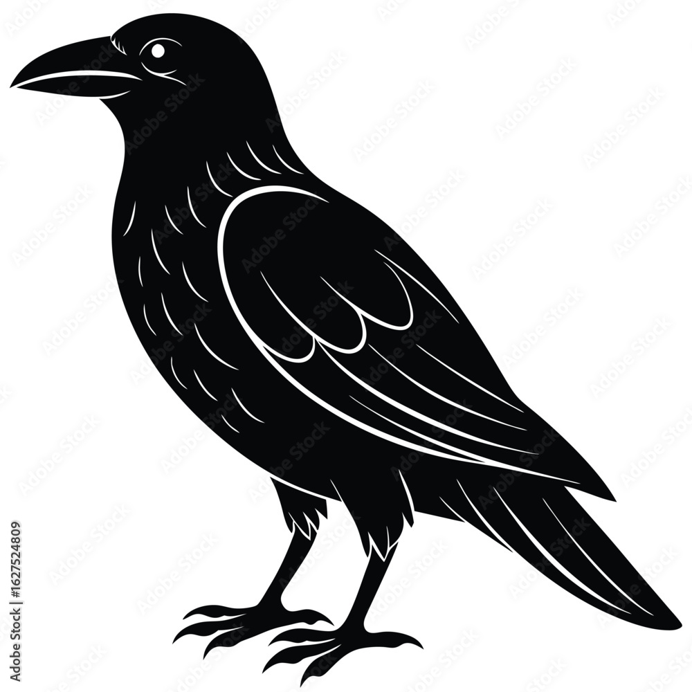 Fototapeta premium Black raven silhouette with white feather details on white background crow bird