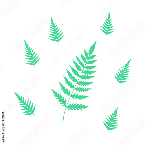 set of green leaves
