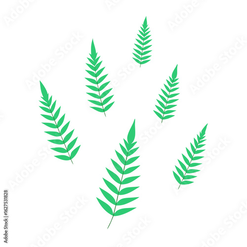 set of green leaves