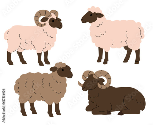 Flat illustration of four sheep in various poses and wool colors, including two horned rams and two fluffy sheep. Simple cartoon style, perfect for childrens books, farming themes, and educational use