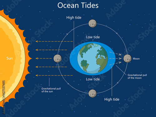 Foto how gravitational forces from the moon and sun affect Earth's ocean tides, creating high and low tides diagram hand drawn schematic raster
