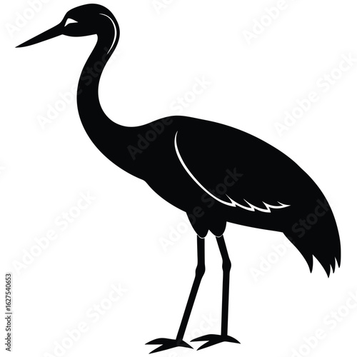 Black silhouette of a standing crane with white accents on a white background bird