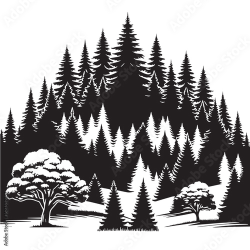 black Forest at night Silhouette Vector, High Quality Illustration on White Background