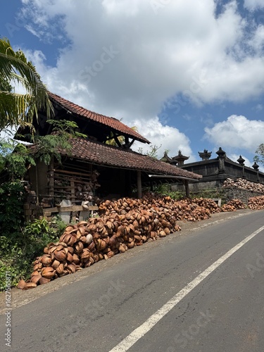 Stack of coconuts