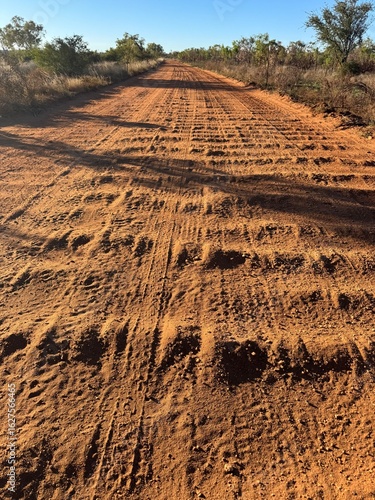 tracks in the sand