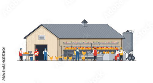 Modern poultry farm with people and equipment in flat design