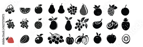 set of fruit and seed silhouettes for botany and organic design themes